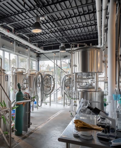 Wild Blue Yonder Brewing Co.