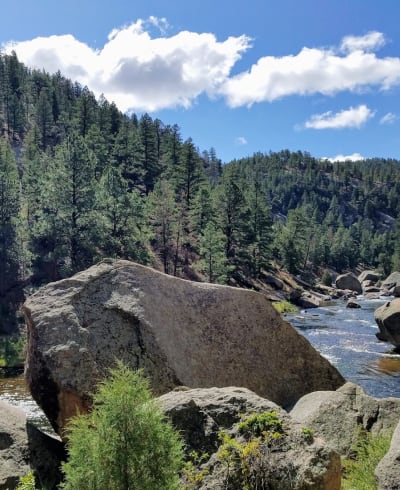 Cheeseman Canyon Flyfishing