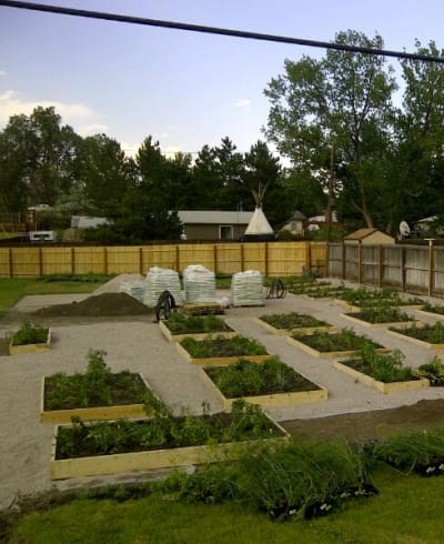 Castle Rock Community Garden