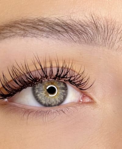 Lash and Company - Parker