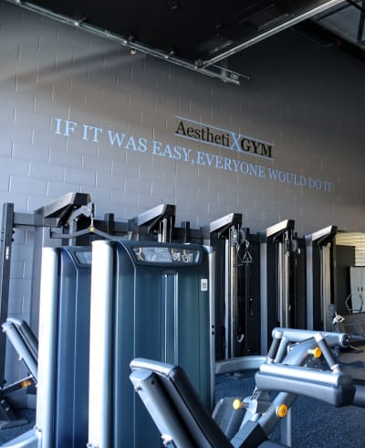 Aesthetix Gym
