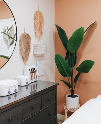 Wild Kitty Waxing - Parker