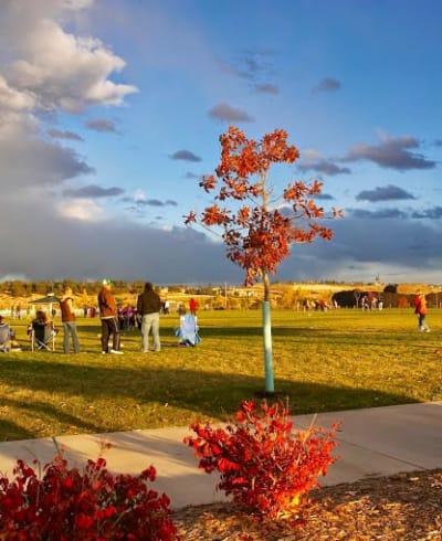 Salisbury Regional Park