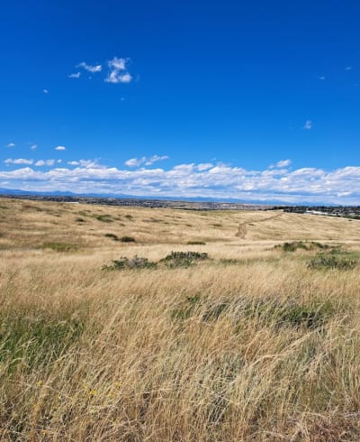 Two Bridges Open Space