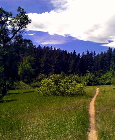 Colorado Trail / Indian Creek Trail Junction