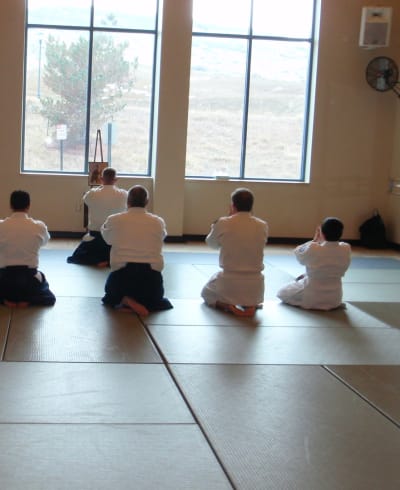 Kiryu Aikido Colorado