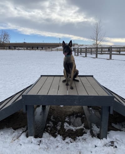 USMC CPL David M. Sonka Dog Park