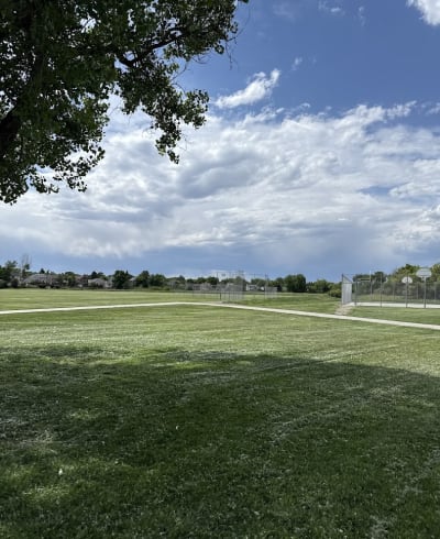 Cottonwood Park West Playground