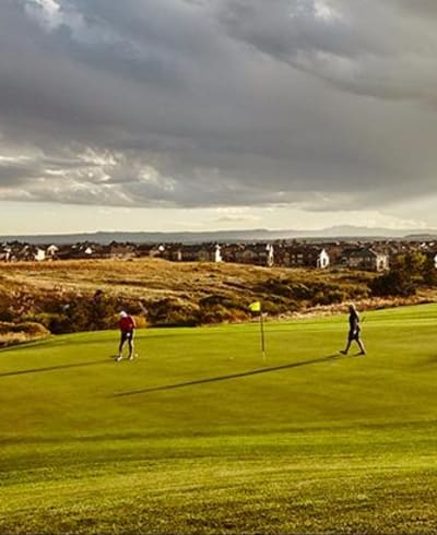 Black Bear Golf Club