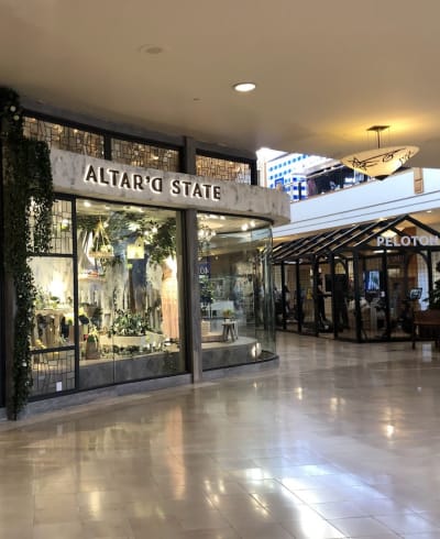 Altar'd State Park Meadows