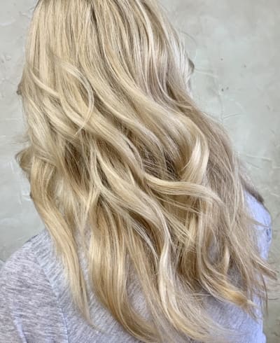 Wild Iris Salon Experience