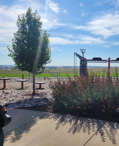 Meridian Commons Park Exercise Station
