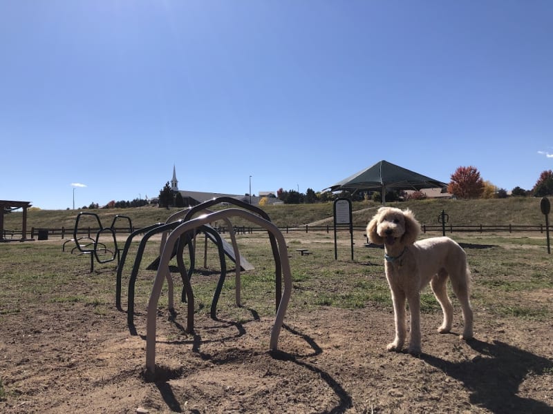 Wiggly Field Dog Park