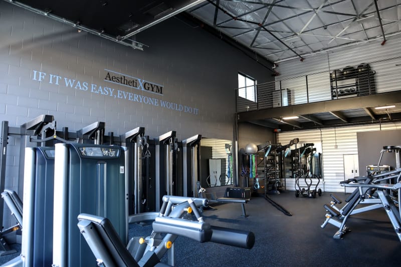 Aesthetix Gym