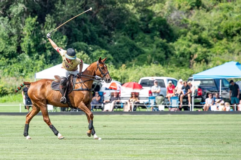 Denver Polo Club