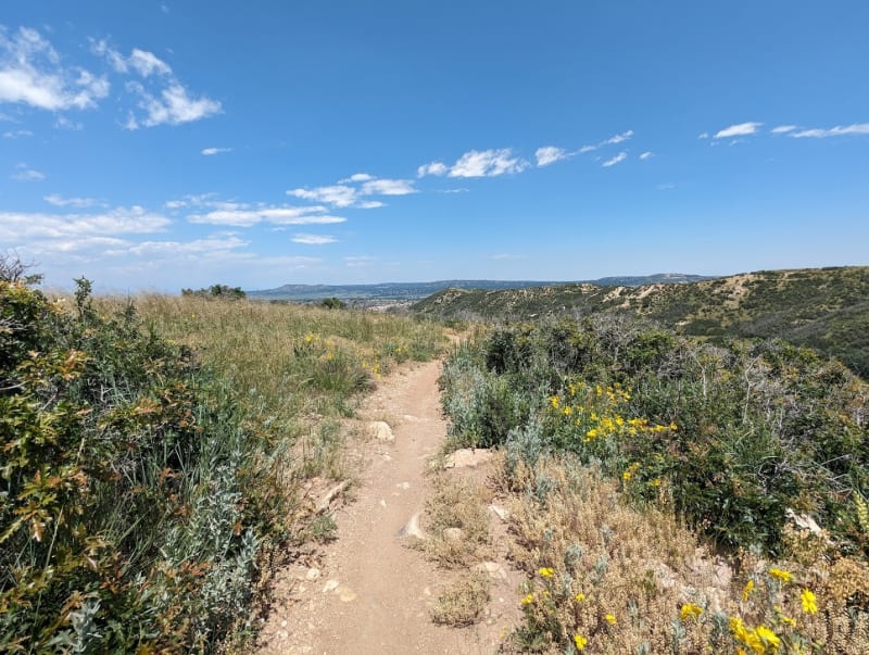 Ridgeline Open Space