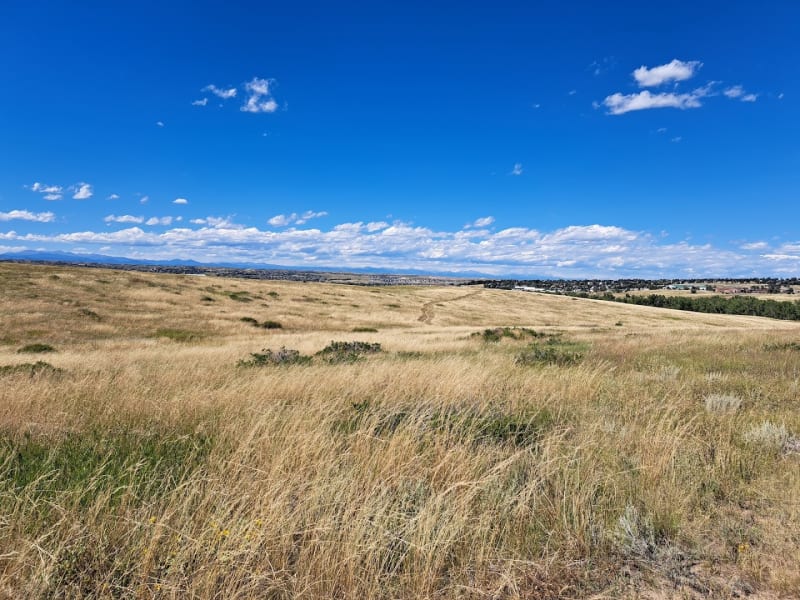 Two Bridges Open Space