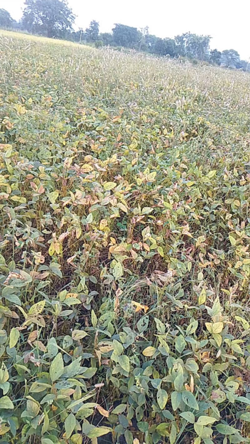 Clearlight Saunas Castle Pines