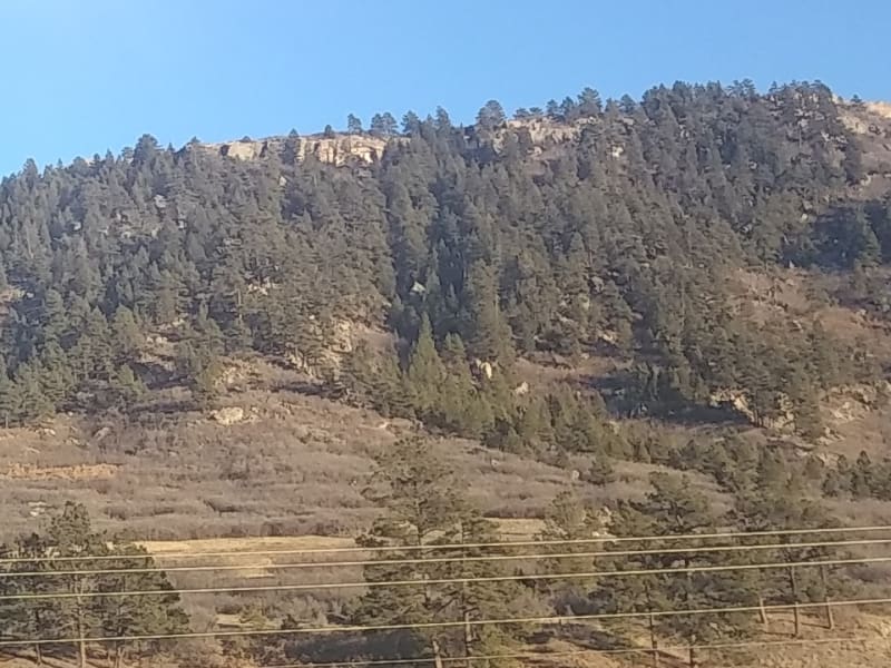 Bear Dance Driving Range