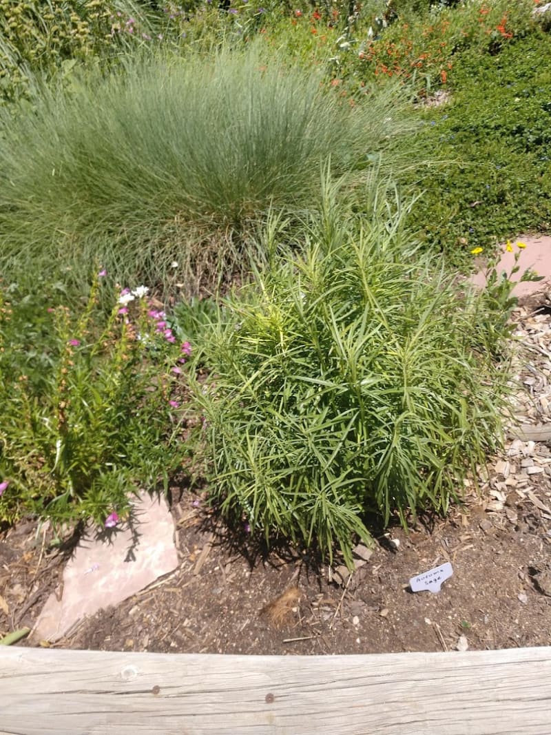 Sedalia Museum and Gardens