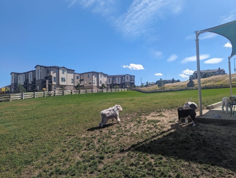 Douglas County Off-leash Area