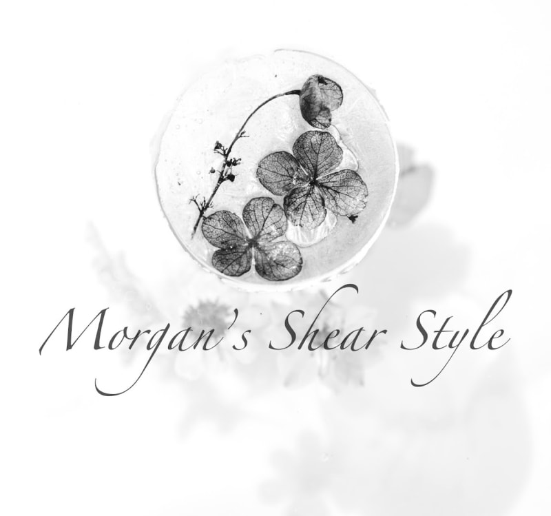 Morgan’s Shear Style