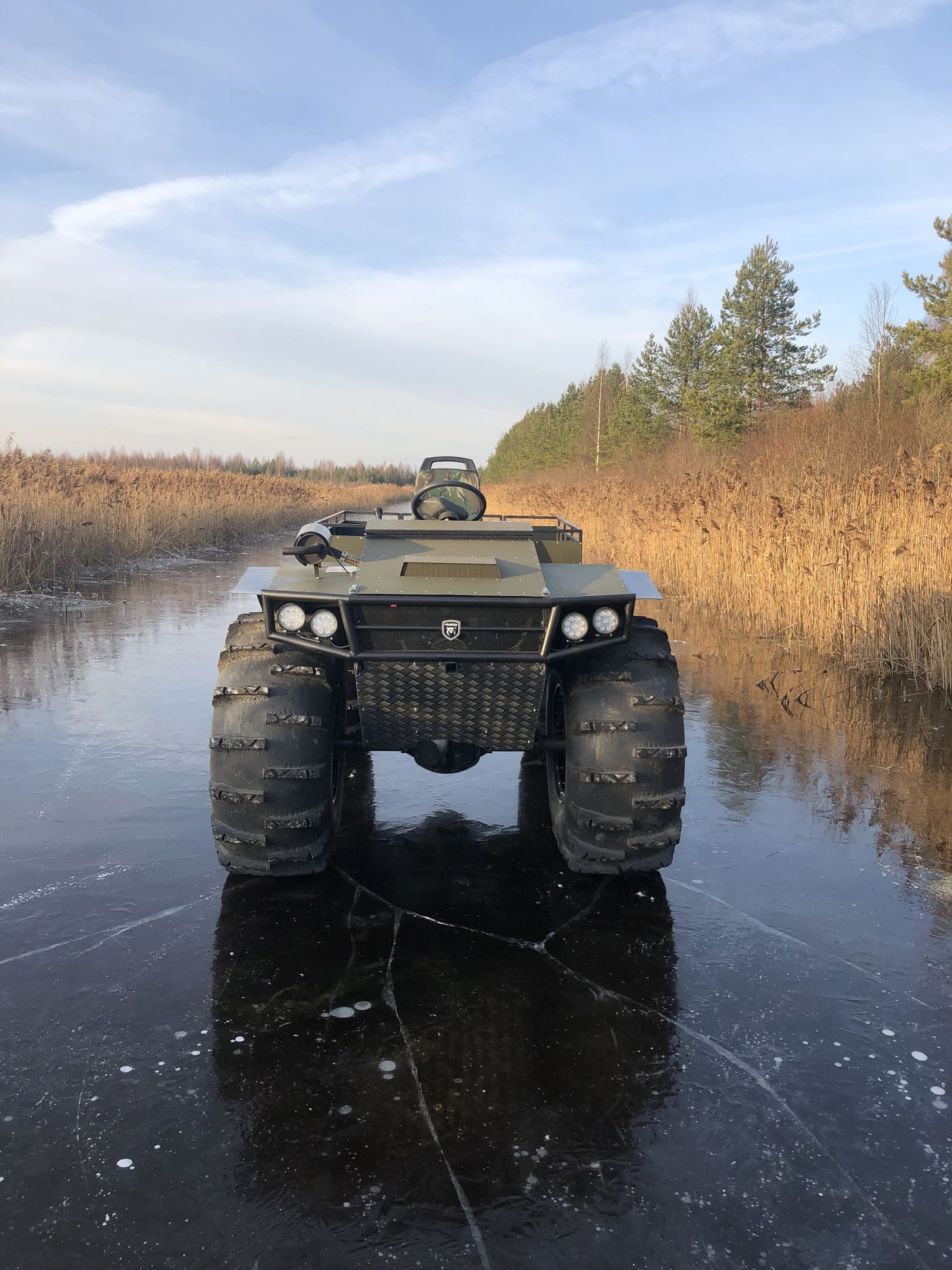 МЕДВЕДЬ ПРО