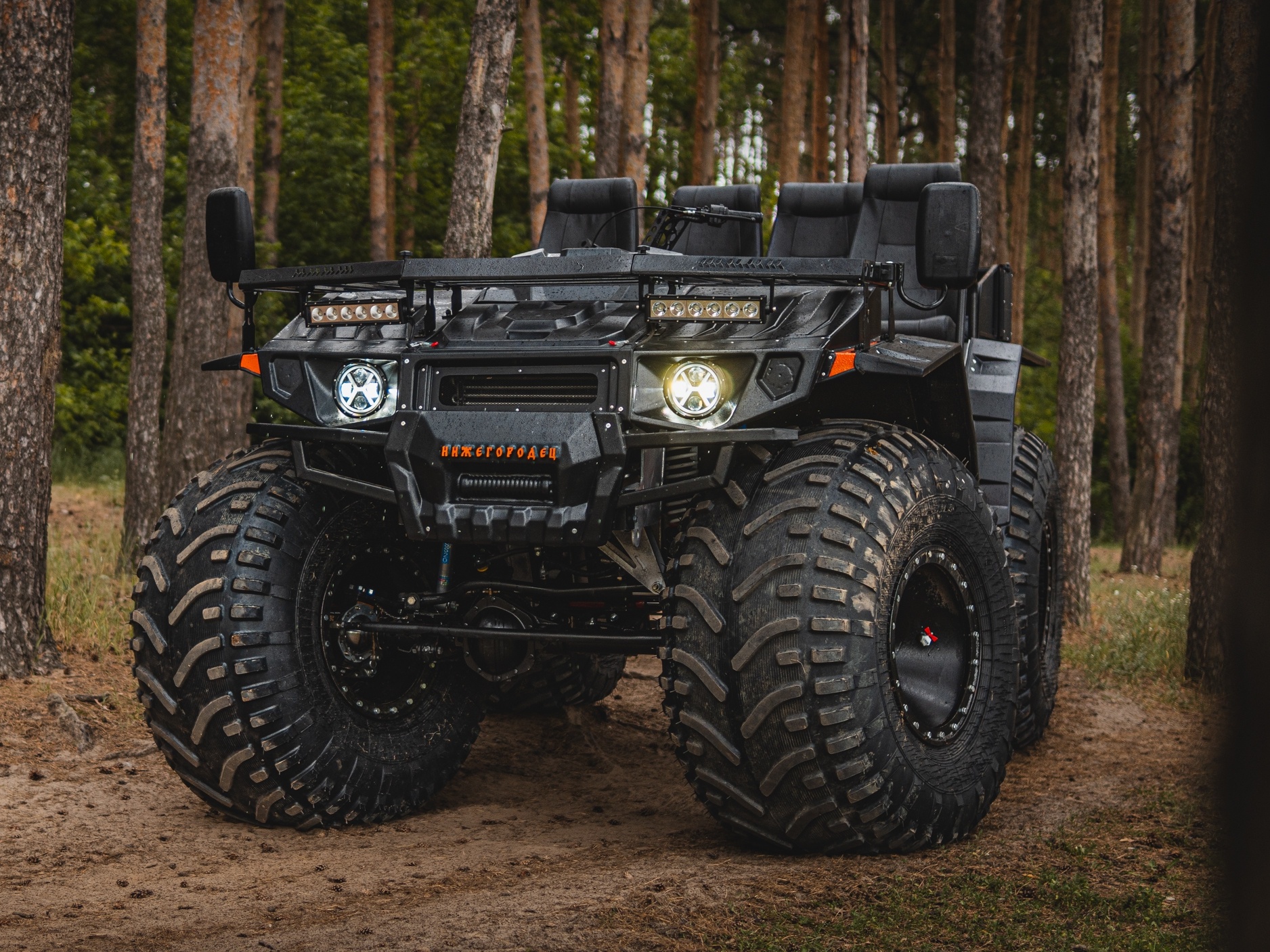 НИЖЕГОРОДЕЦ