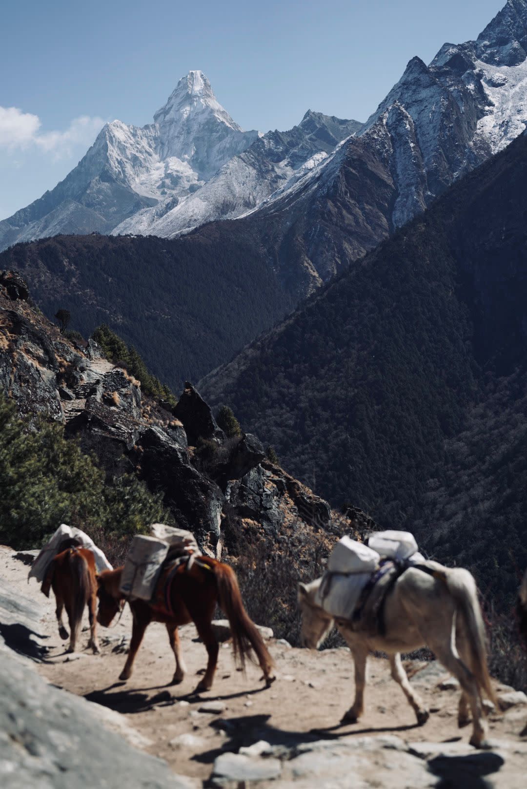 How Many People Have Died on Everest? The Numbers