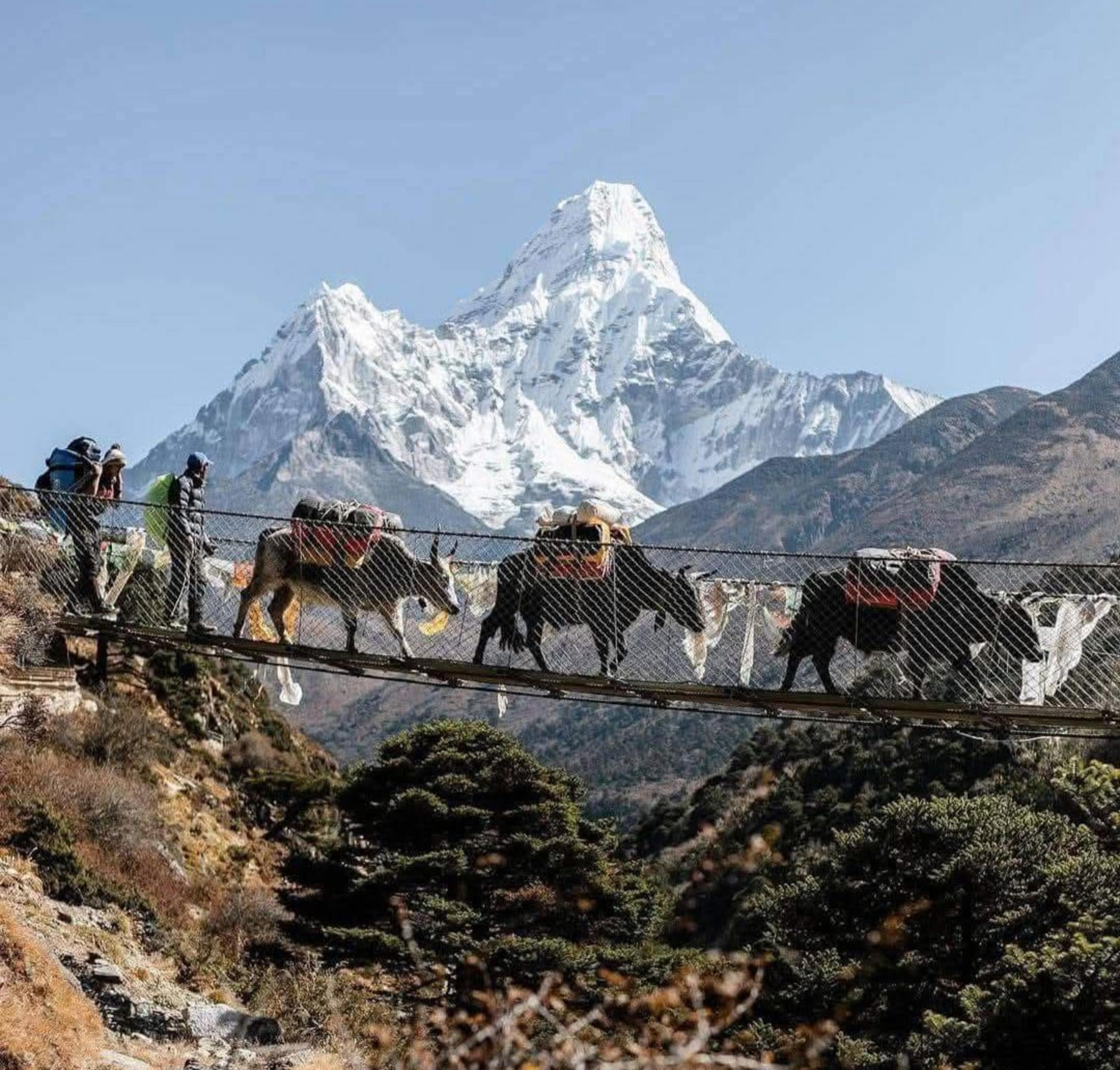 Everest Base Camp Trek