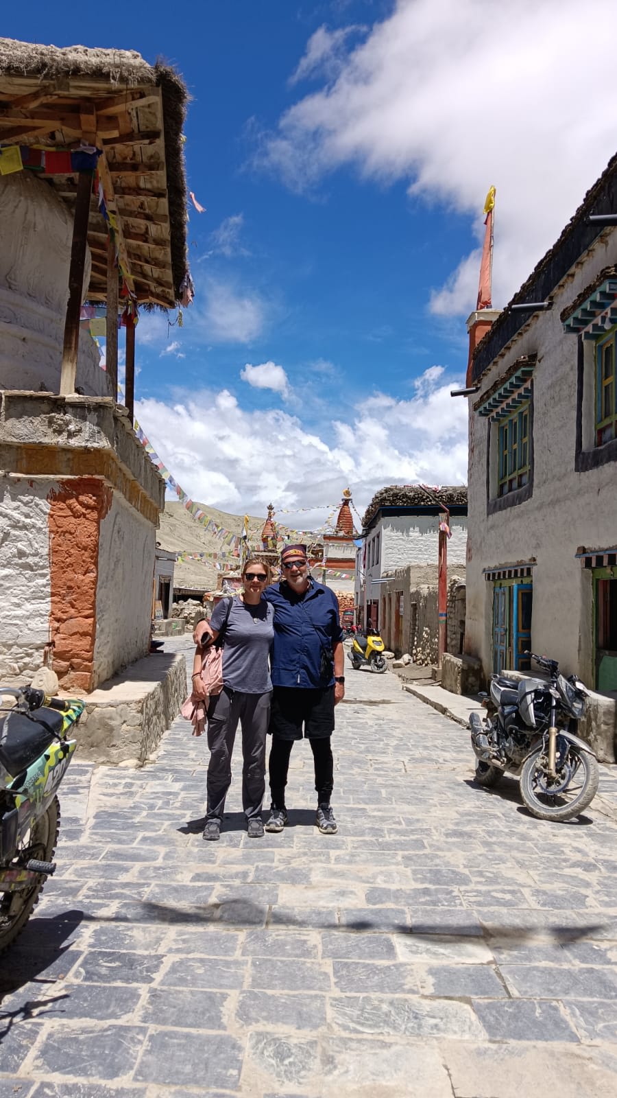 Tibet-like landscape: arid Himalayan plateau