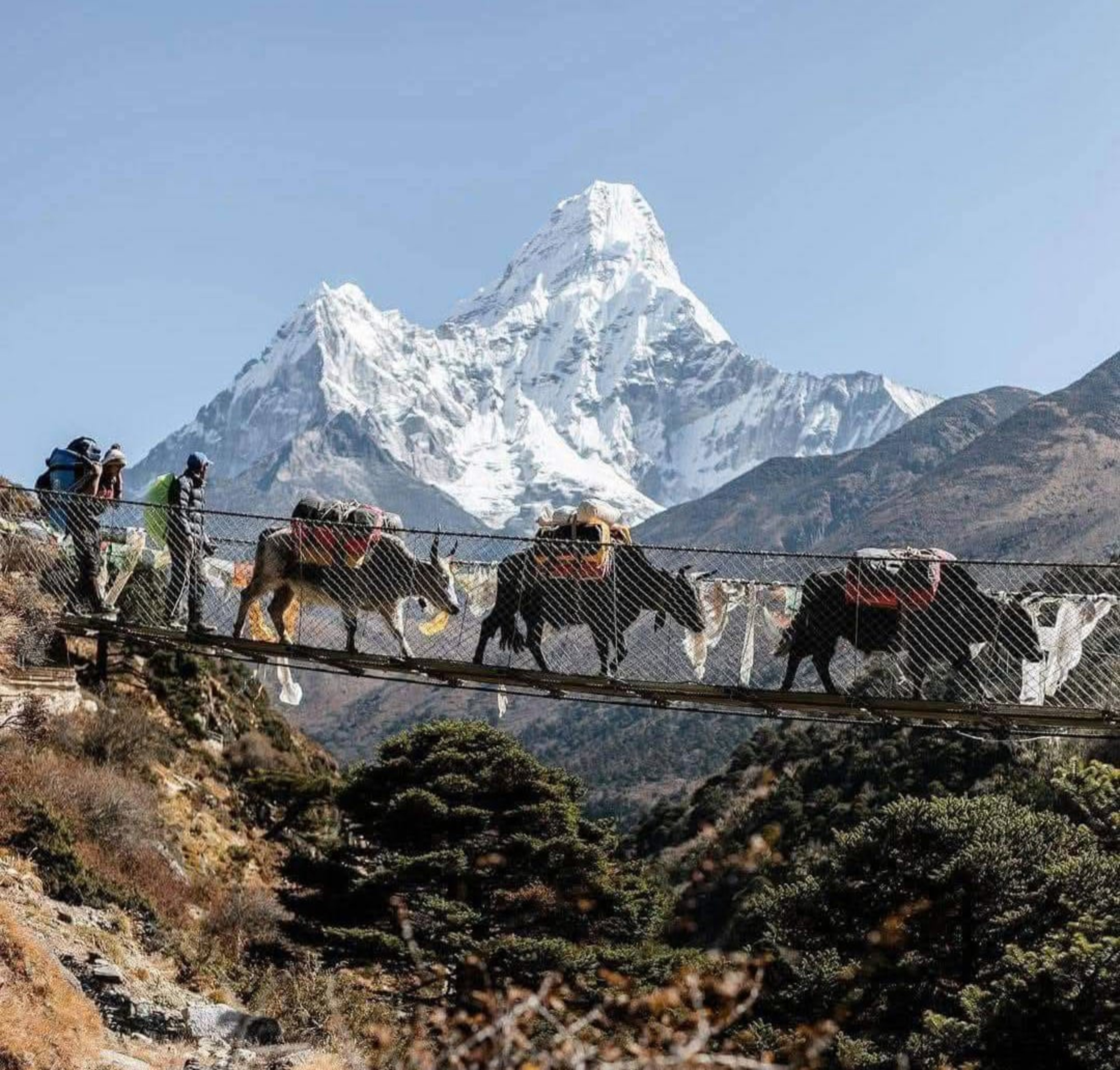 Ama Dablam — visible throughout the approach to Island Peak