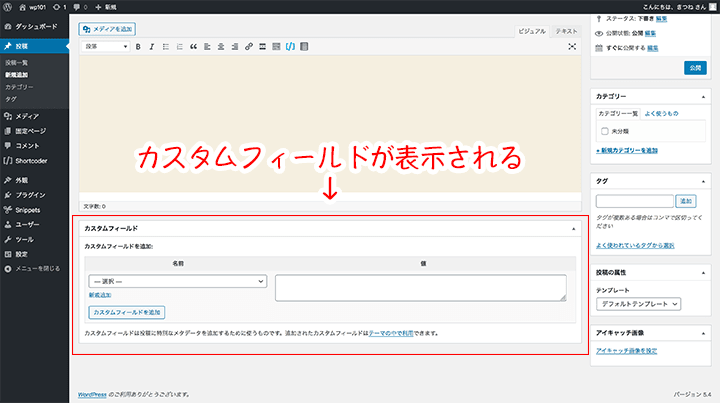 投稿編集画面でカスタムフィールドが表示される