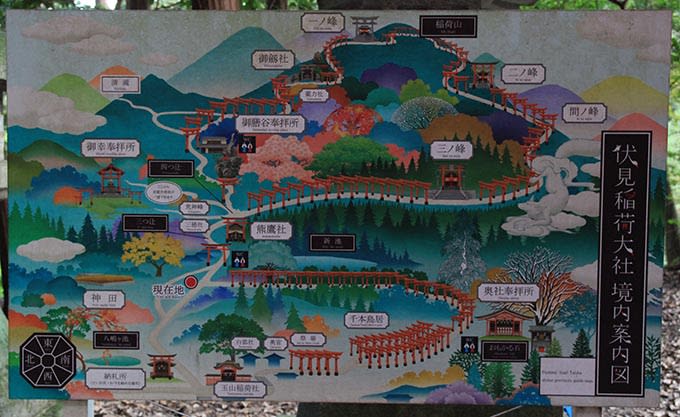案内地図