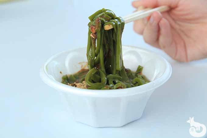 抹茶のところてん