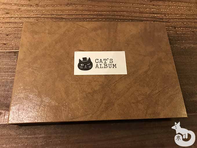 猫たちのアルバム