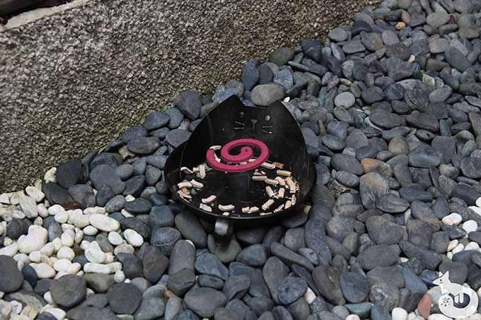 猫のお皿