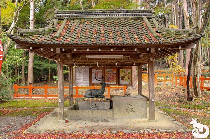 大原野神社 手水舎