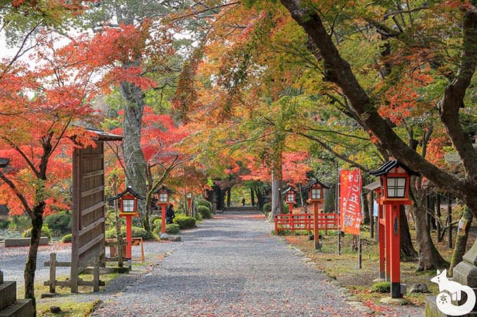 大原野神社 参道