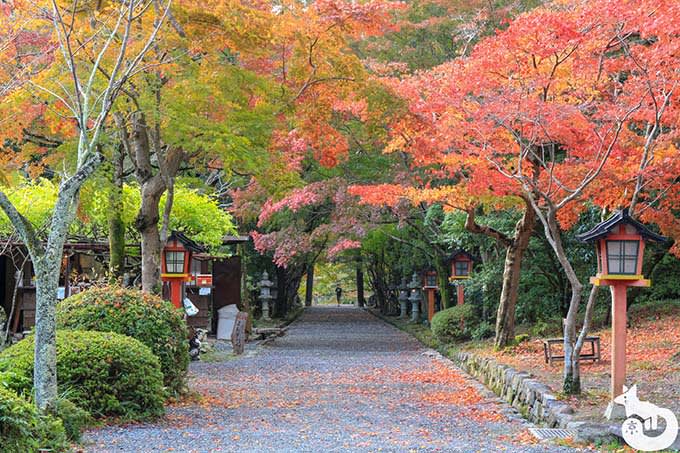 参道付近の混雑状況