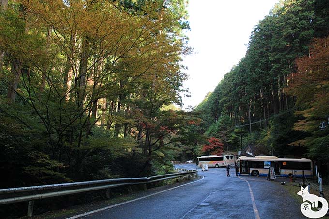 バス停付近の混雑状況