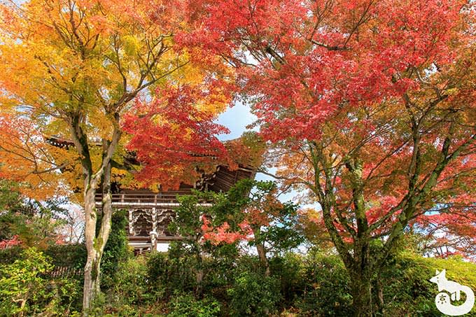 善峯寺 多宝塔