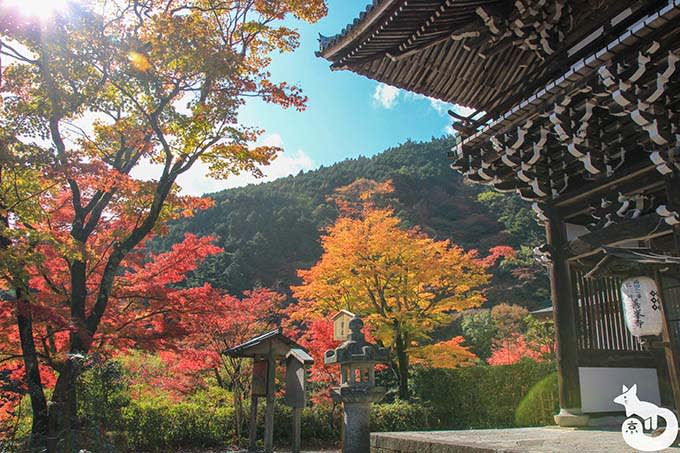 善峯寺 楼門