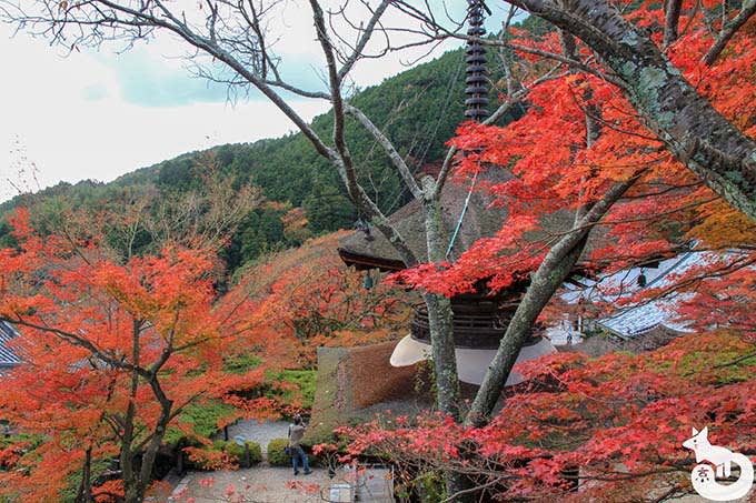 多宝塔周辺の紅葉