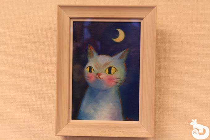 猫カフェTiME(タイム)の猫|