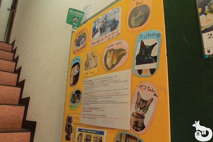 猫カフェTiME(タイム)へのアクセス方法|階段を上る