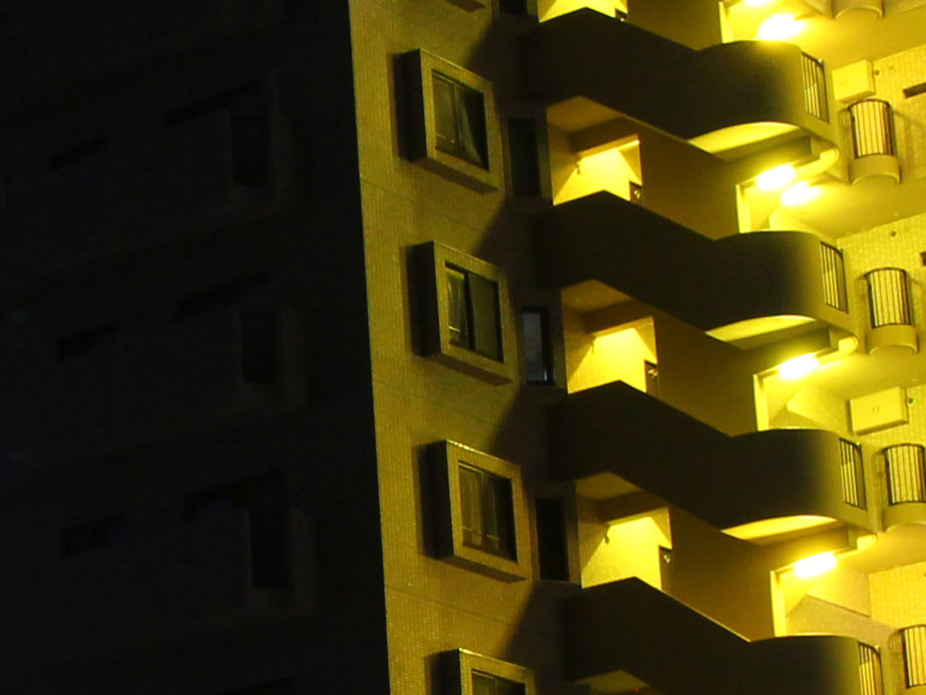 ISO 800拡大