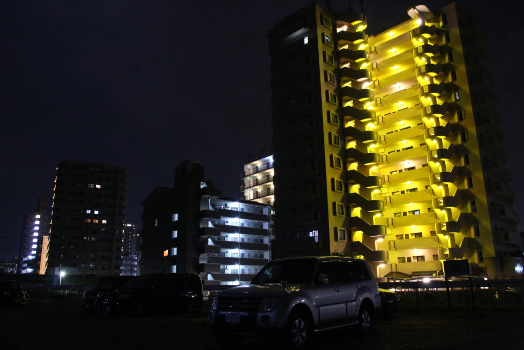 ISO 1600