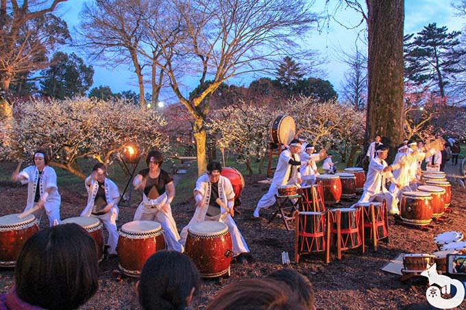 北野天満宮 梅のライトアップ 神若会の方たちによる太鼓の演奏