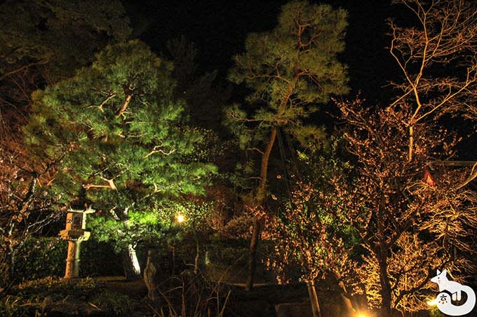 北野天満宮 梅のライトアップ 庭園